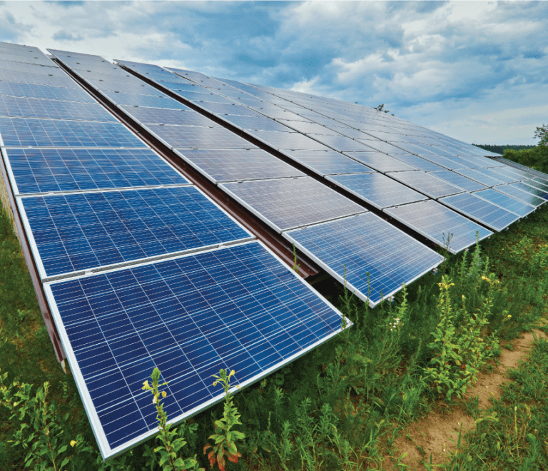 Why Solar Energy Is the Smartest Investment for Businesses in India